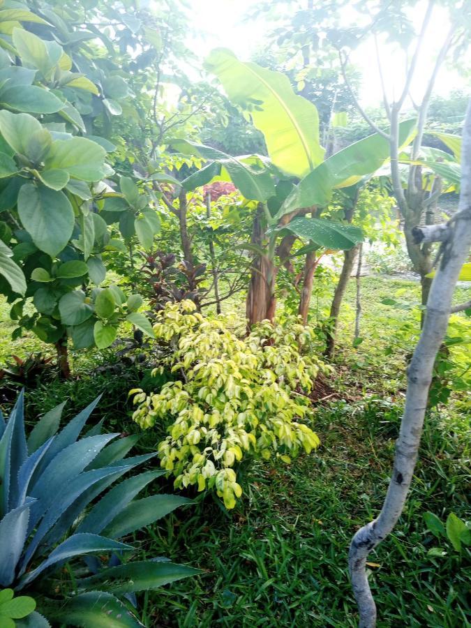 Sweet Home Ківенґва Екстер'єр фото